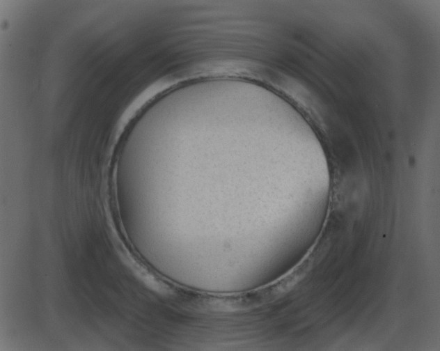 X0000086271086200704051303