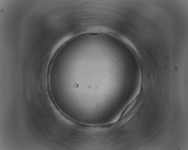 X0000086271087200704051303