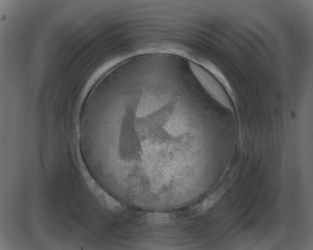 X0000086271088200704051303