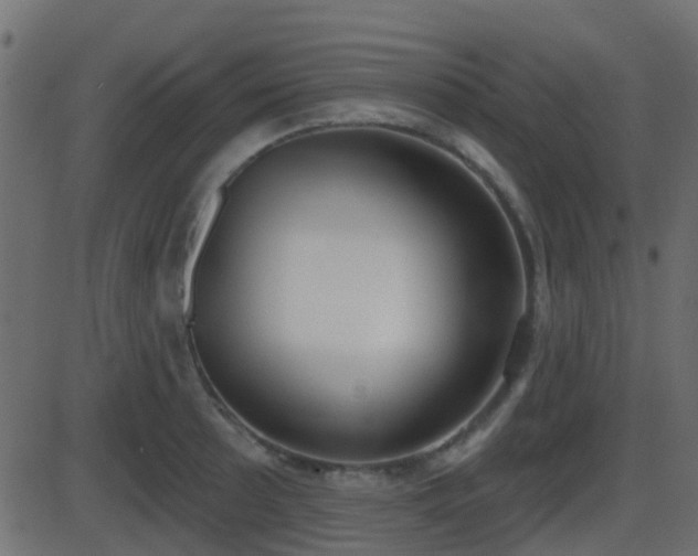 X0000086271089200704051303