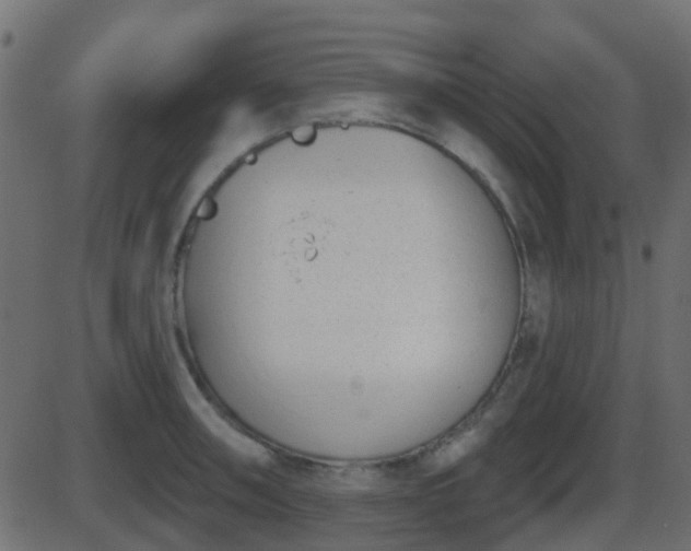 X0000086271090200704051303