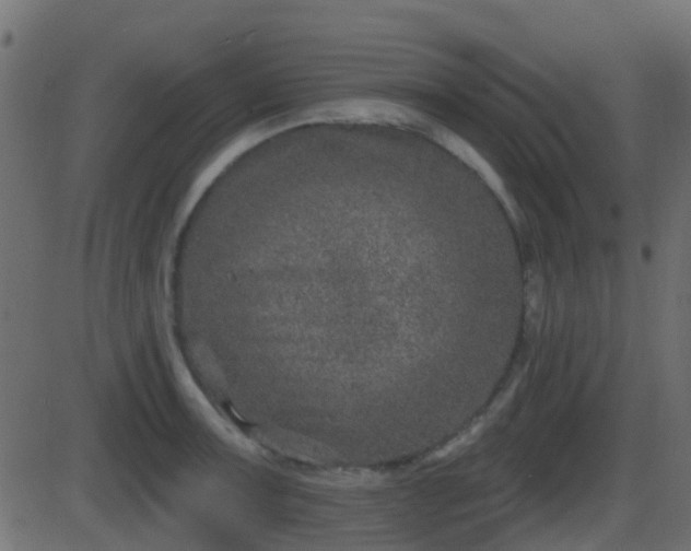 X0000086271091200704051303