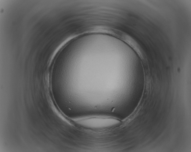 X0000086271092200704051303