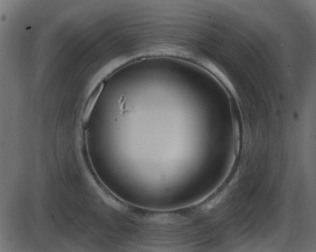 X0000086271093200704051303