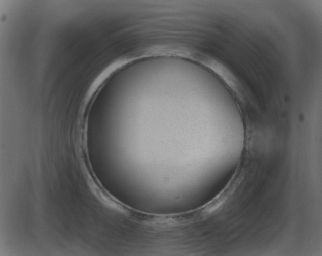 X0000086271094200704051303