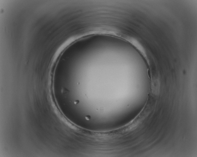 X0000086271096200704051303