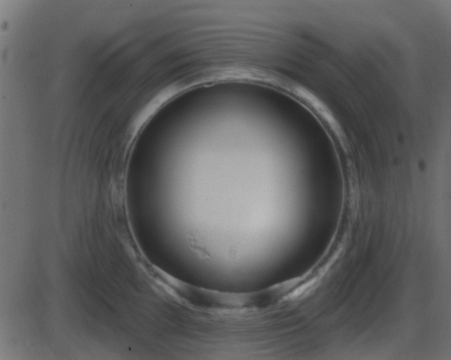 X0000086271097200704051303