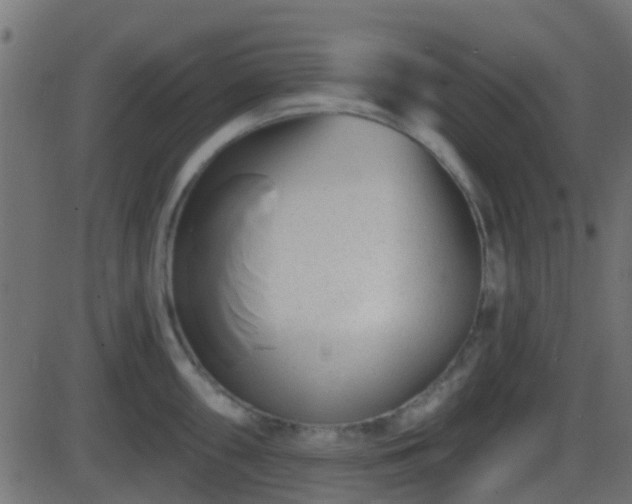 X0000086271098200704051303