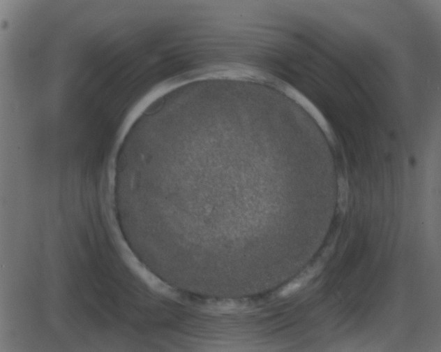 X0000086271099200704051303