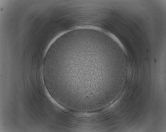 X0000086271100200704051303