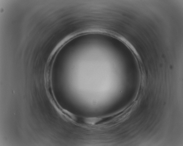 X0000086271101200704051303