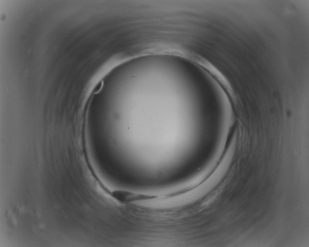 X0000086271102200704051303