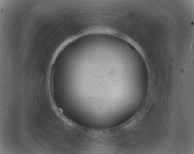 X0000086271104200704051303