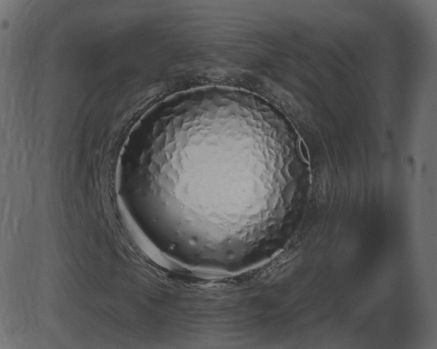 X0000086271105200704051302