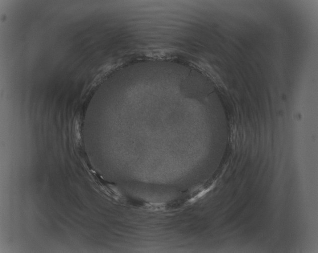 X0000086271106200704051302