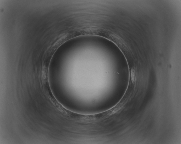 X0000086271107200704051302