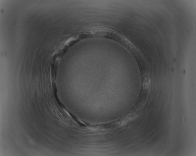 X0000086271108200704051302