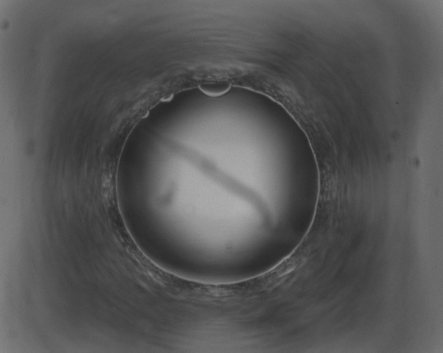 X0000086271109200704051302