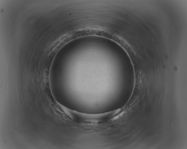 X0000086271110200704051302