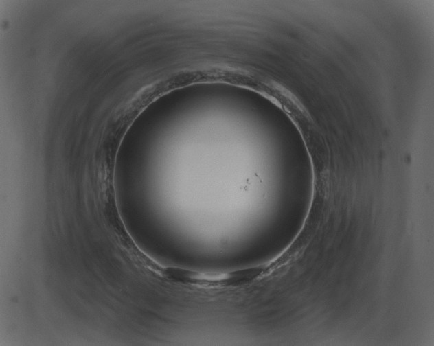 X0000086271111200704051302