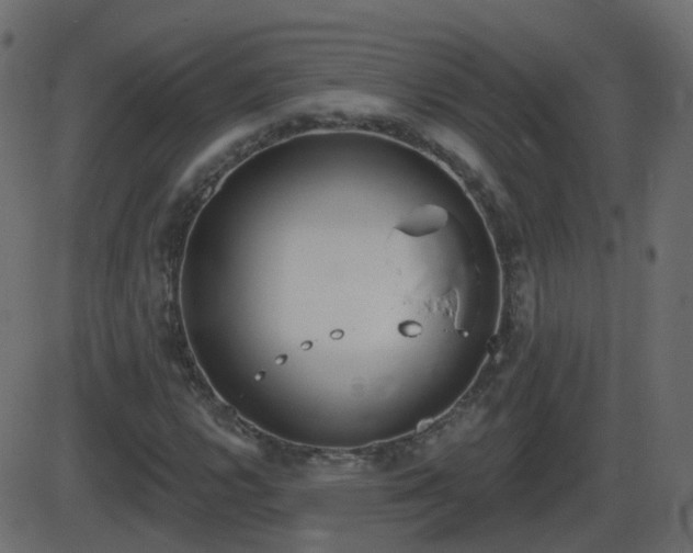 X0000086271112200704051302