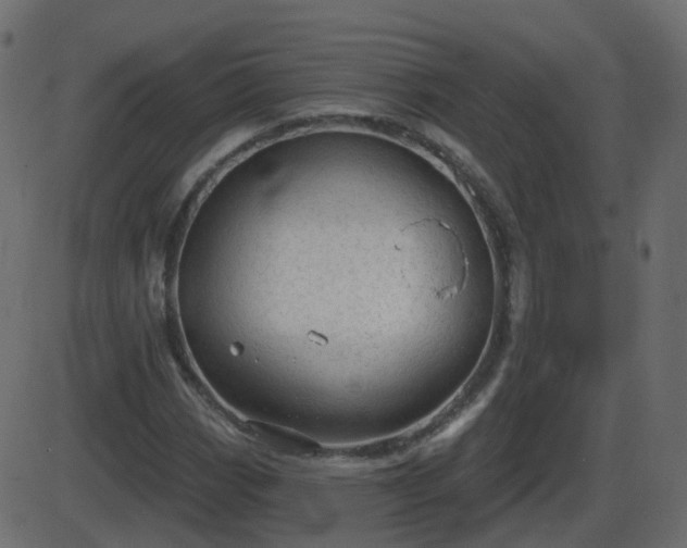 X0000086271113200704051302