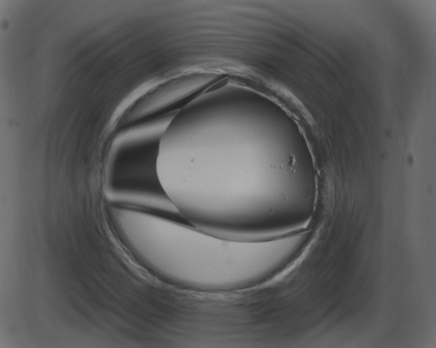 X0000086271114200704051302