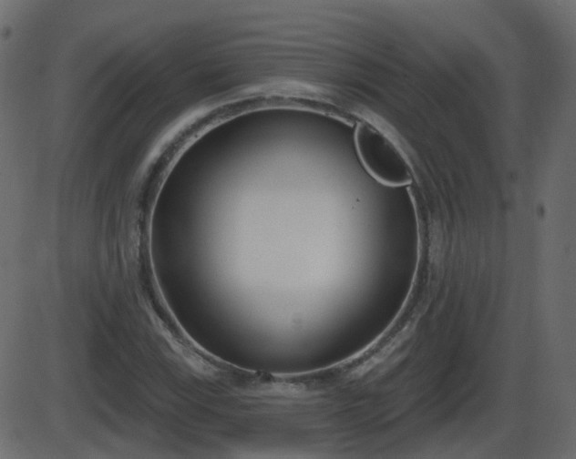 X0000086271115200704051302