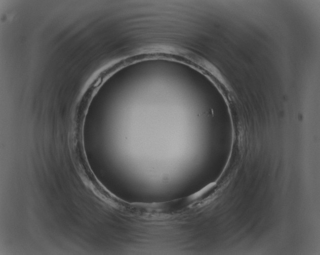 X0000086271116200704051302