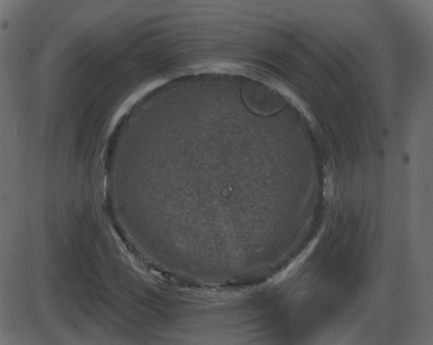 X0000086271117200704051302