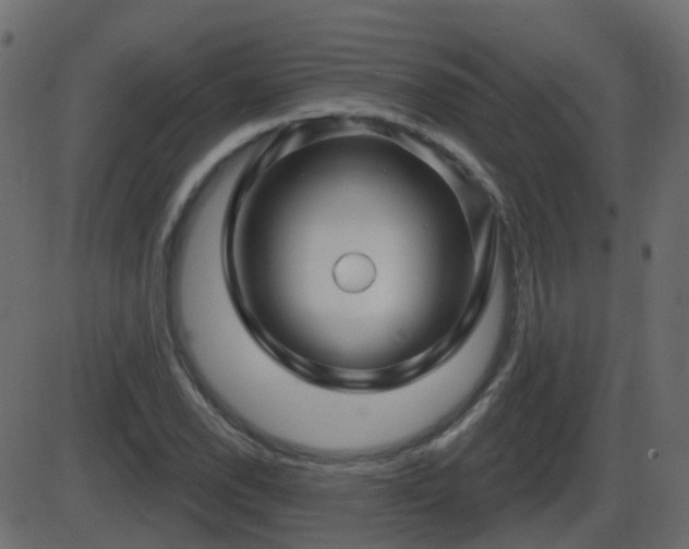 X0000086271118200704051302