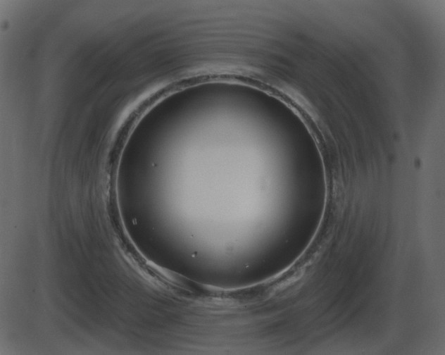 X0000086271119200704051302