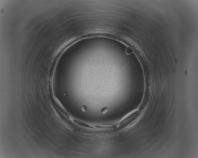 X0000086271121200704051302