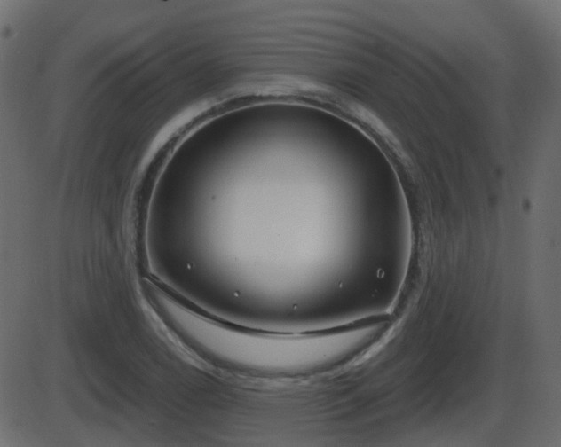 X0000086271122200704051302