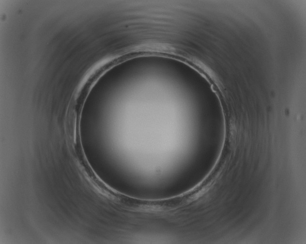 X0000086271123200704051302