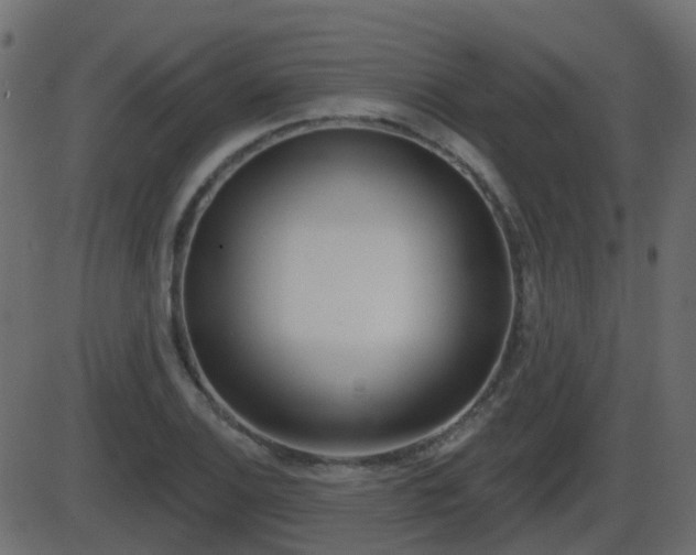 X0000086271124200704051302