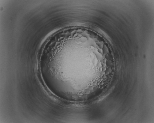 X0000086271125200704051302