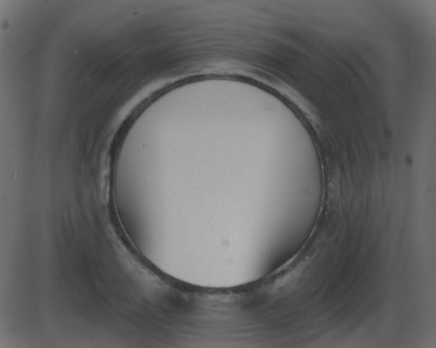 X0000086271126200704051302