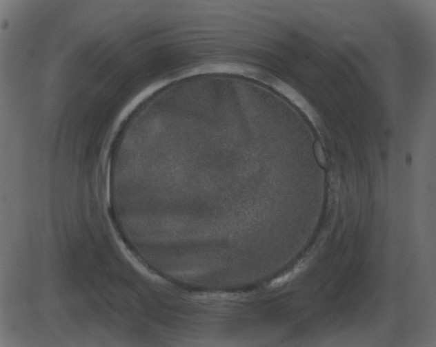 X0000086271127200704051302