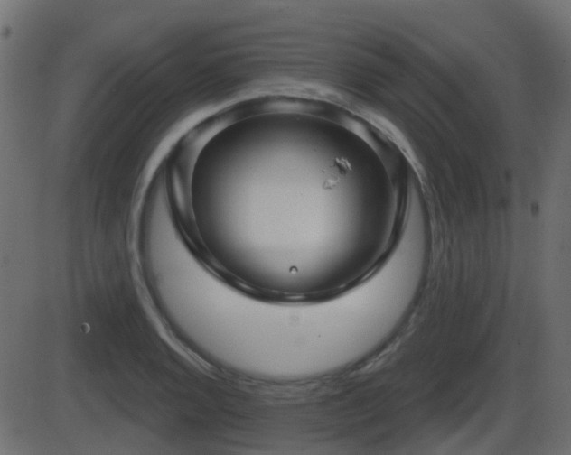 X0000086271128200704051302