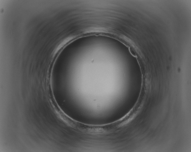 X0000086271129200704051302