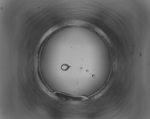 X0000086271130200704051302