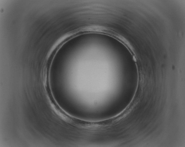 X0000086271131200704051302