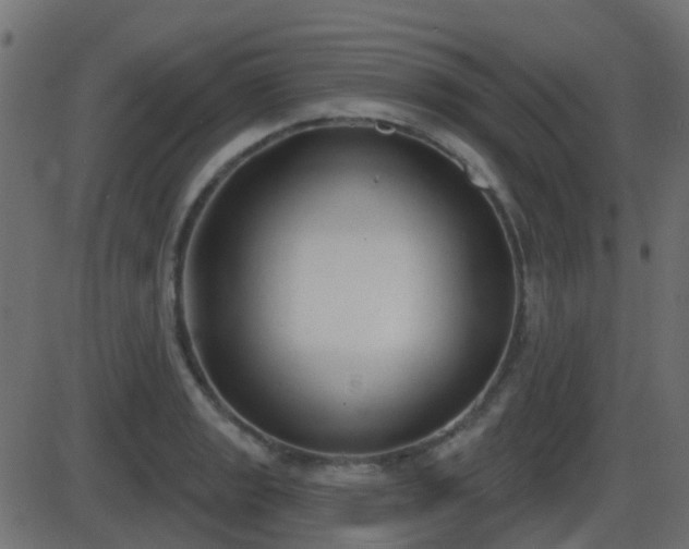 X0000086271133200704051302