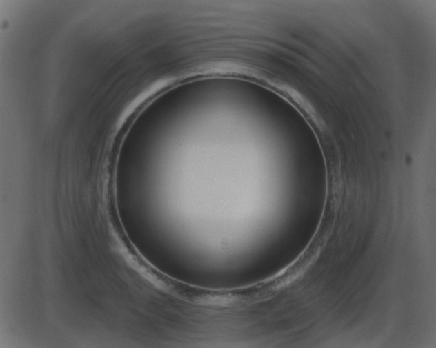 X0000086271134200704051302