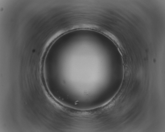 X0000086271135200704051302