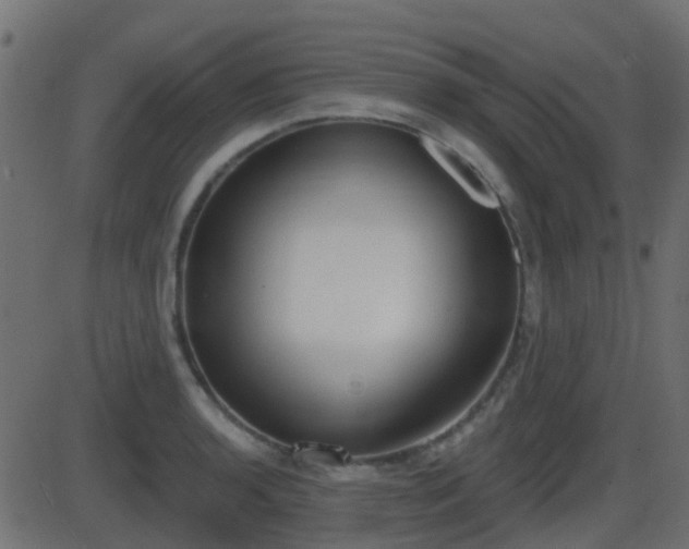 X0000086271136200704051302