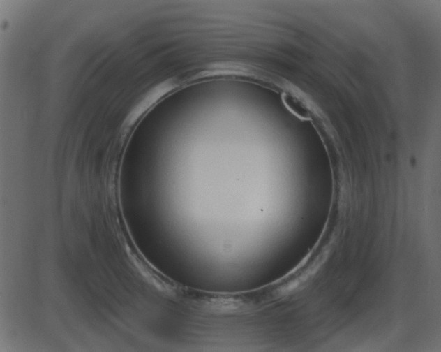 X0000086271137200704051302