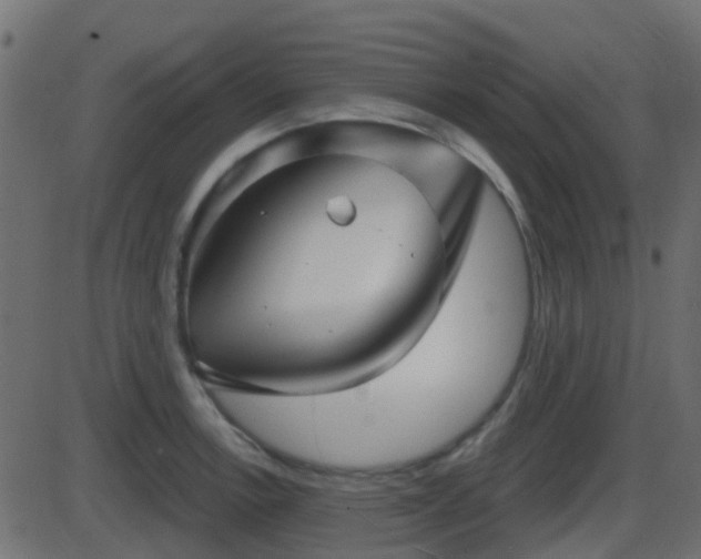 X0000086271138200704051302