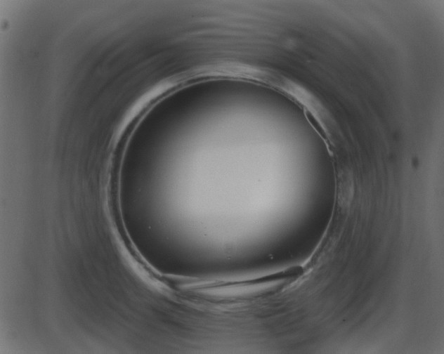 X0000086271139200704051302